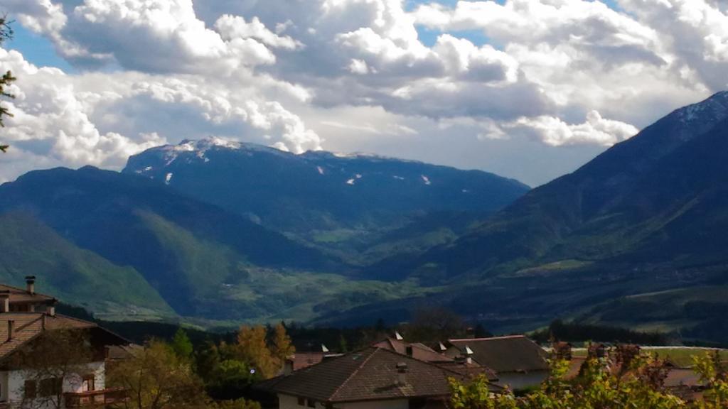 Agritur Rizzi Di Inama Ugo Villa Coredo Buitenkant foto